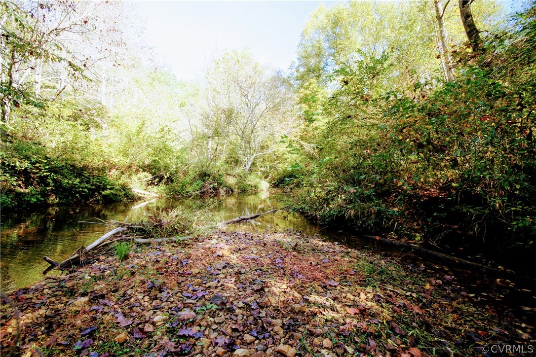 0 Glover Hill Road Buckingham, VA 23921 - Photo 27 of 44 a view of a yard with plants and large trees