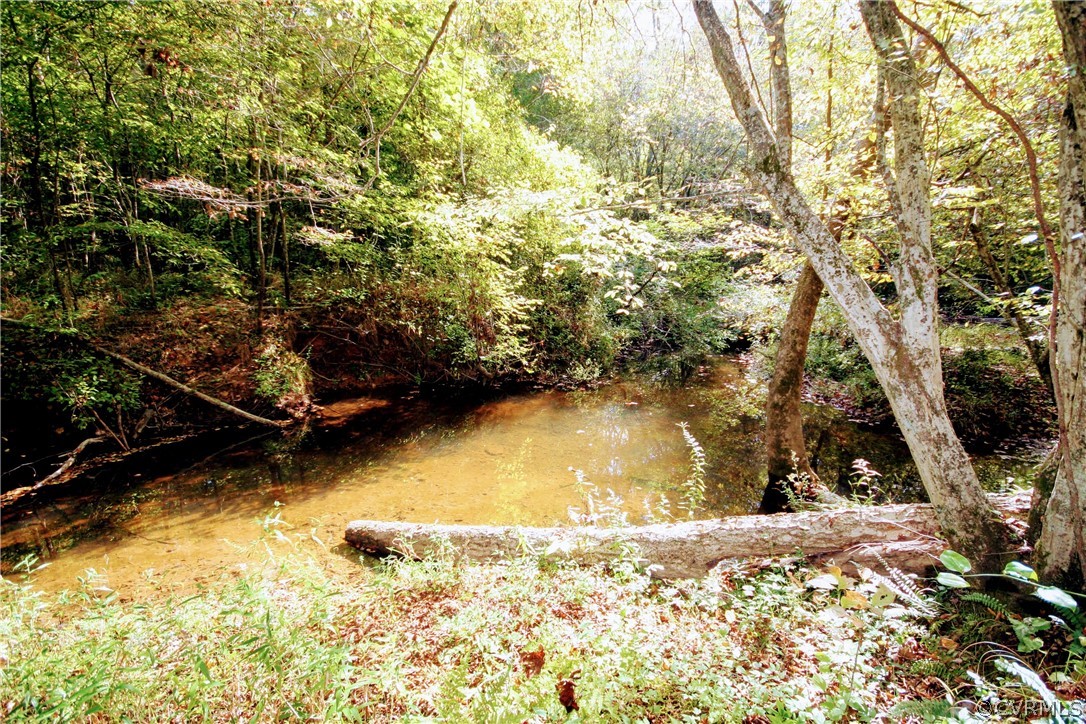0 Glover Hill Road Buckingham, VA 23921 - Photo 29 of 44 a view of a yard