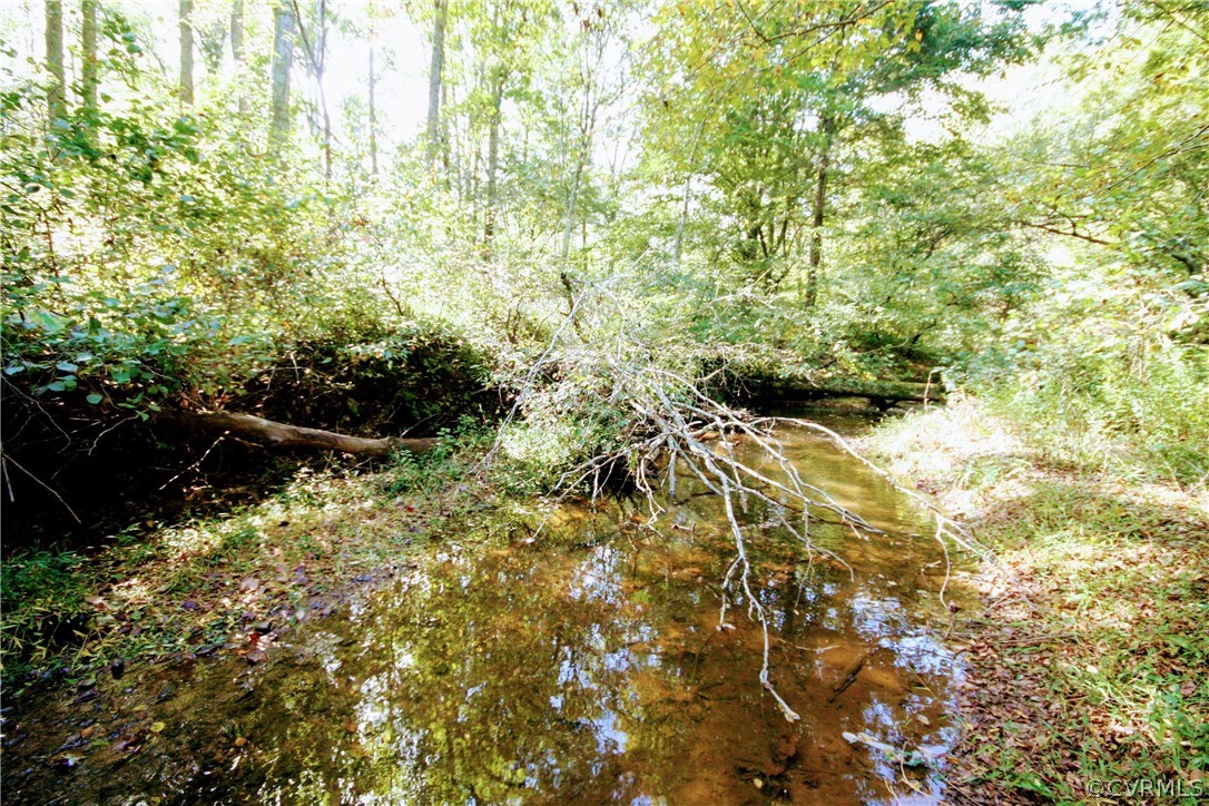 0 Glover Hill Road Buckingham, VA 23921 - Photo 31 of 44 a backyard of a house with lots of green space