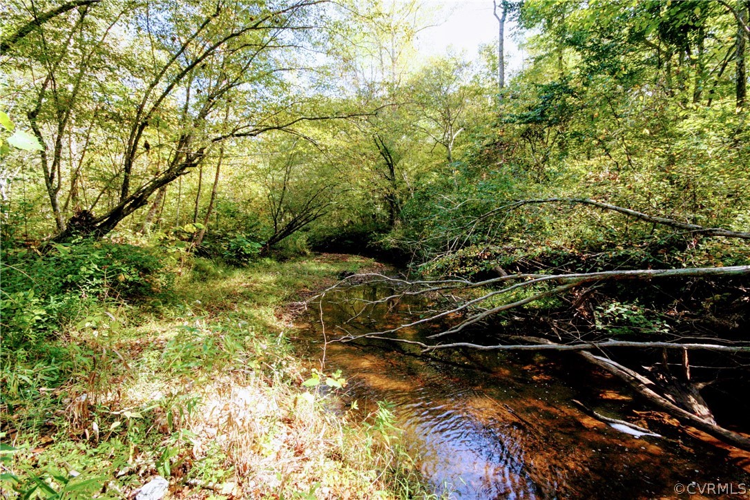 0 Glover Hill Road Buckingham, VA 23921 - Photo 32 of 44 a view of a yard