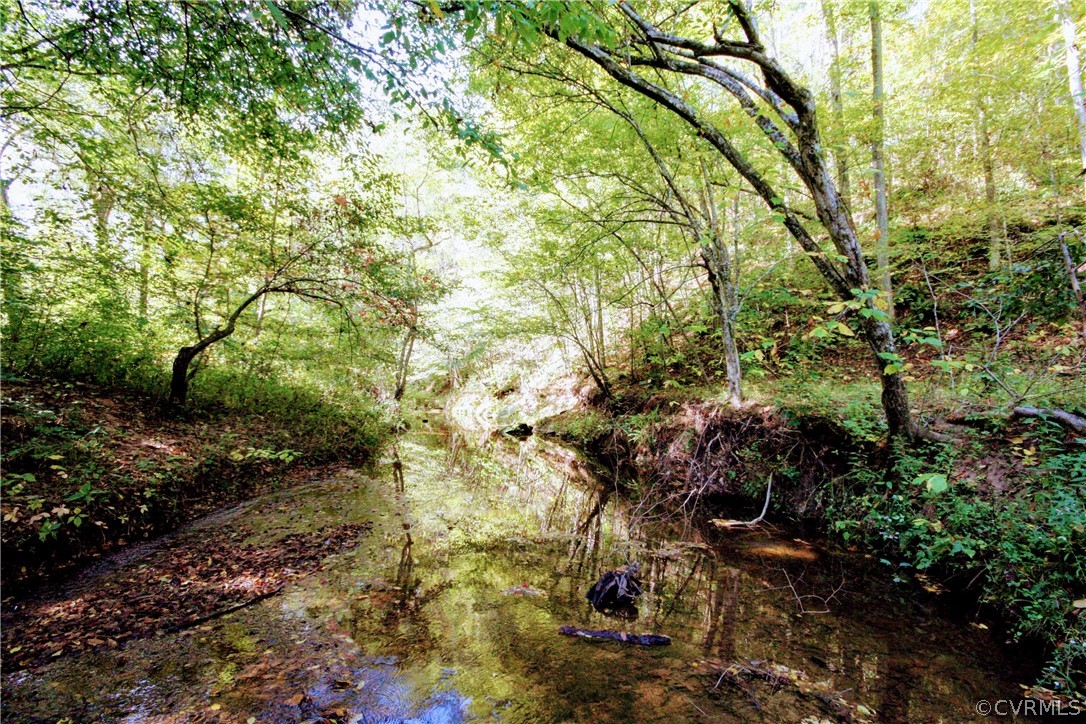 0 Glover Hill Road Buckingham, VA 23921 - Photo 33 of 44 a view of a yard with plants and trees