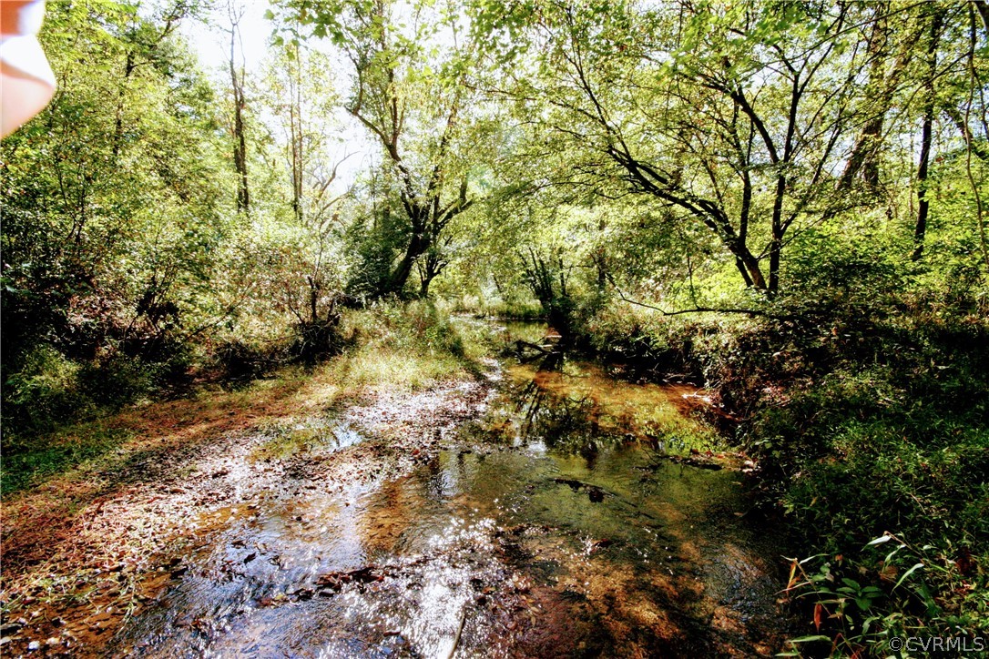 0 Glover Hill Road Buckingham, VA 23921 - Photo 36 of 44 a view of a tree in a yard