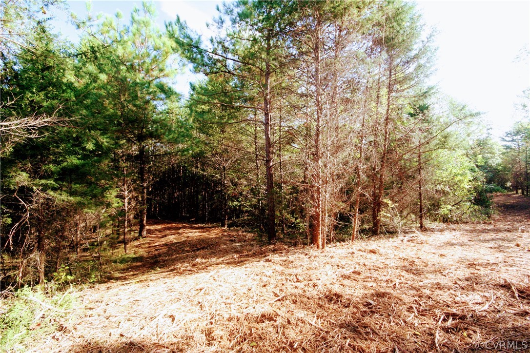 0 Glover Hill Road Buckingham, VA 23921 - Photo 4 of 44 a view of outdoor space with trees