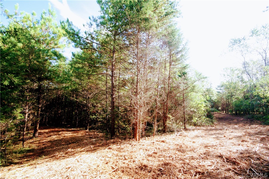 0 Glover Hill Road Buckingham, VA 23921 - Photo 5 of 44 a view of a yard covered with snow in front of house