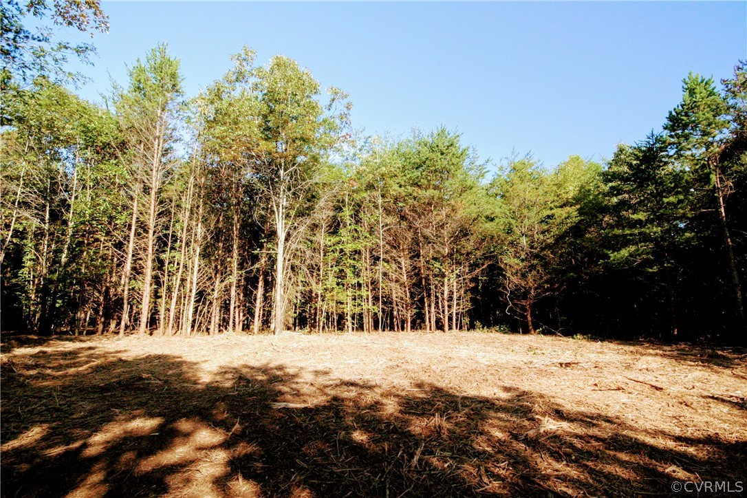 0 Glover Hill Road Buckingham, VA 23921 - Photo 8 of 44 a view of large yard