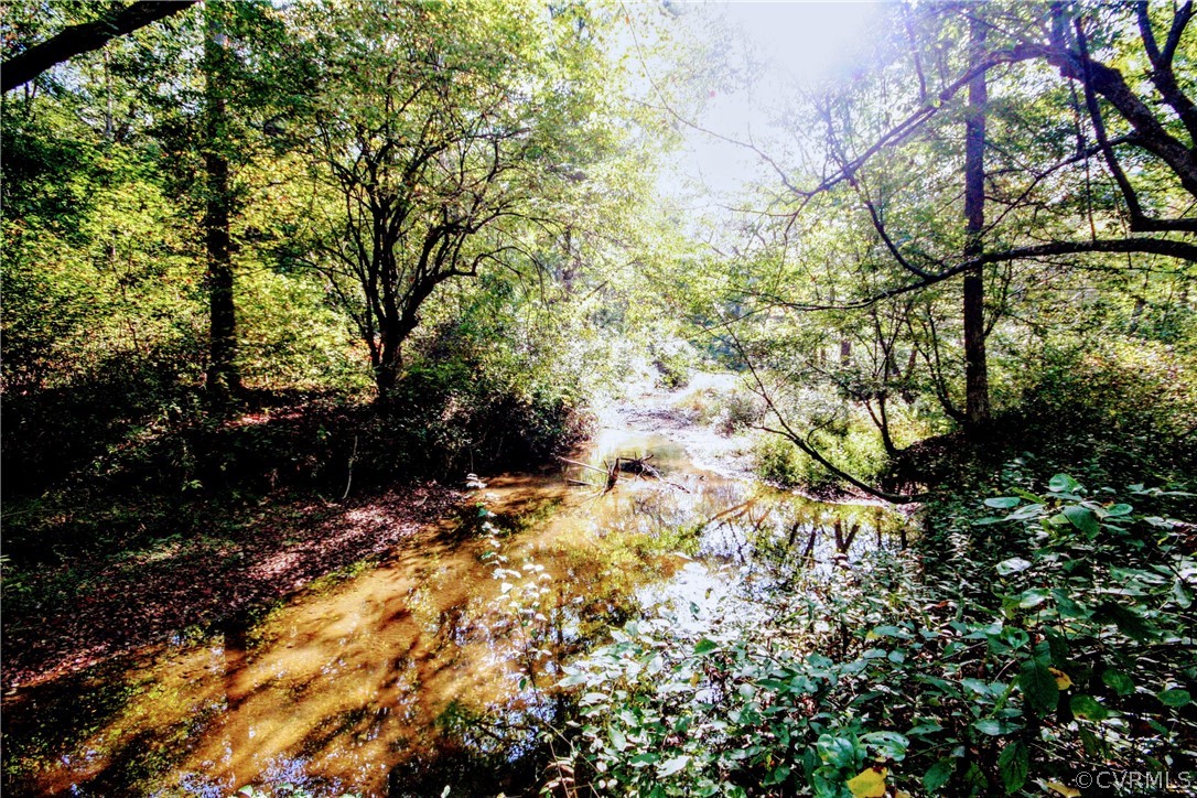 0 Glover Hill Road Buckingham, VA 23921 - Photo 10 of 44 a view of a tree