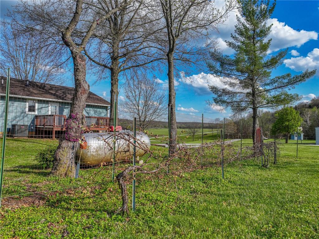 5855 Southeast 981 Pvt Road Collins, MO 64738 - Photo 49 of 79