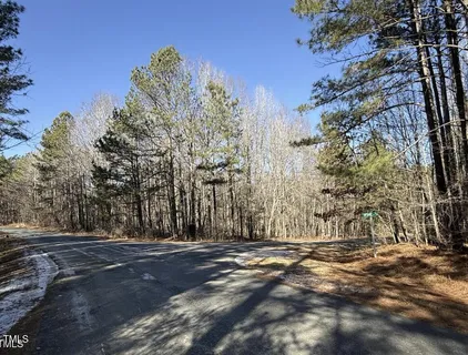 a view of large trees with yard