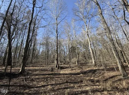a view of a yard with large trees