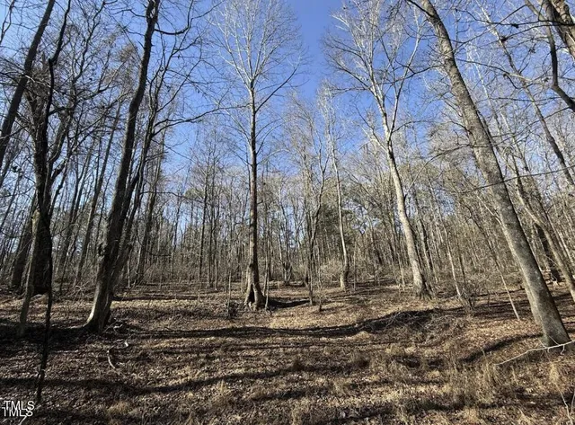 a view of a yard with large trees
