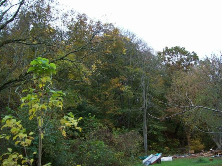929 South Fork Road Stanton, KY 40380 - Photo 3 of 3 Photo 3