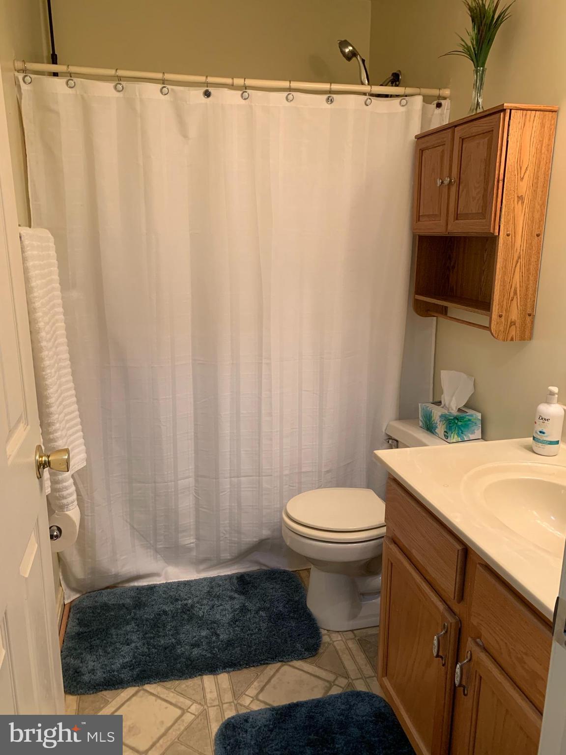 3123 Laurel View Drive Abingdon, MD 21009 - Photo 118 of 135 a bathroom with a sink a toilet and shower