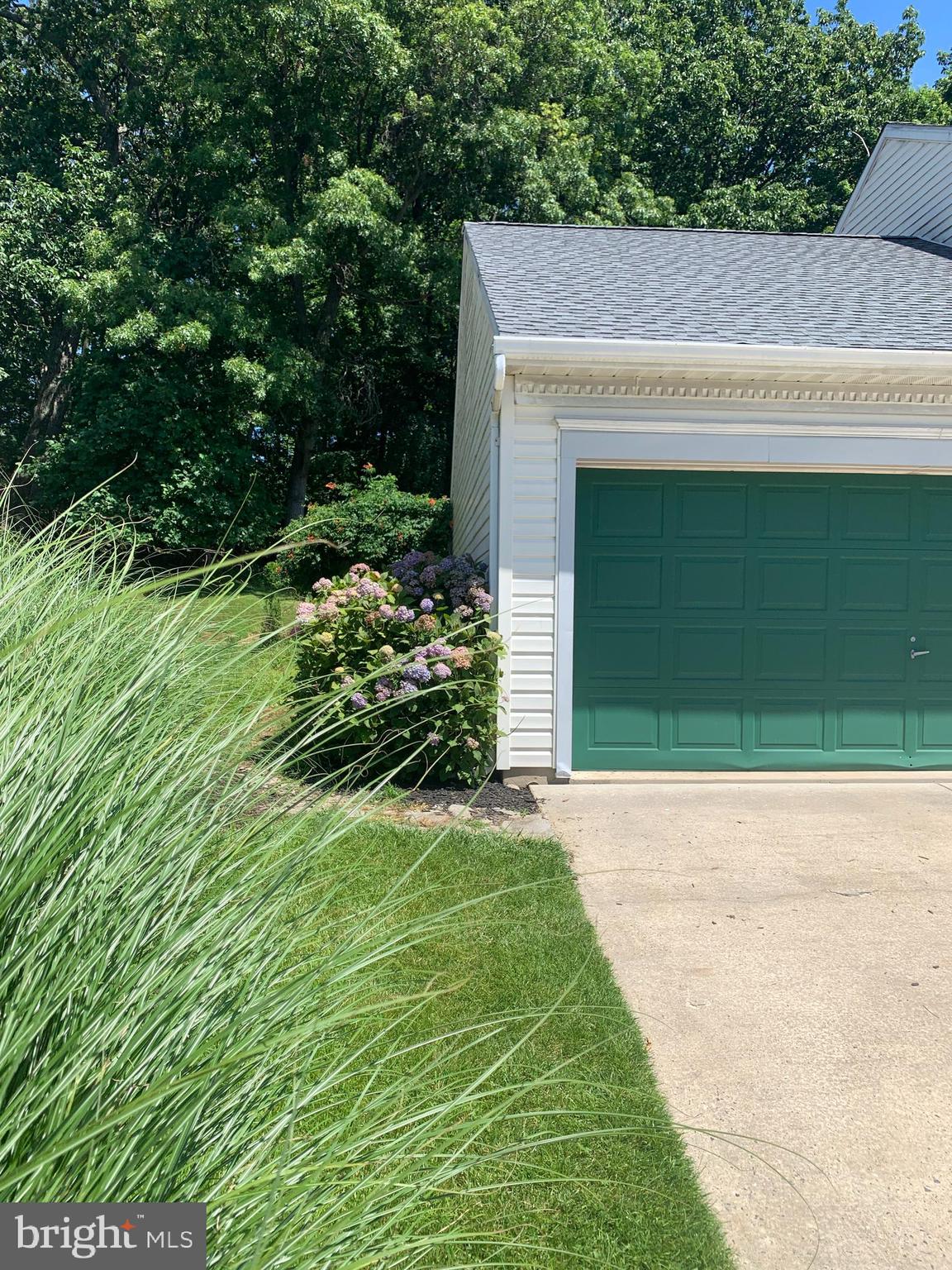 3123 Laurel View Drive Abingdon, MD 21009 - Photo 12 of 135 a view of backyard with potted plants and a large tree