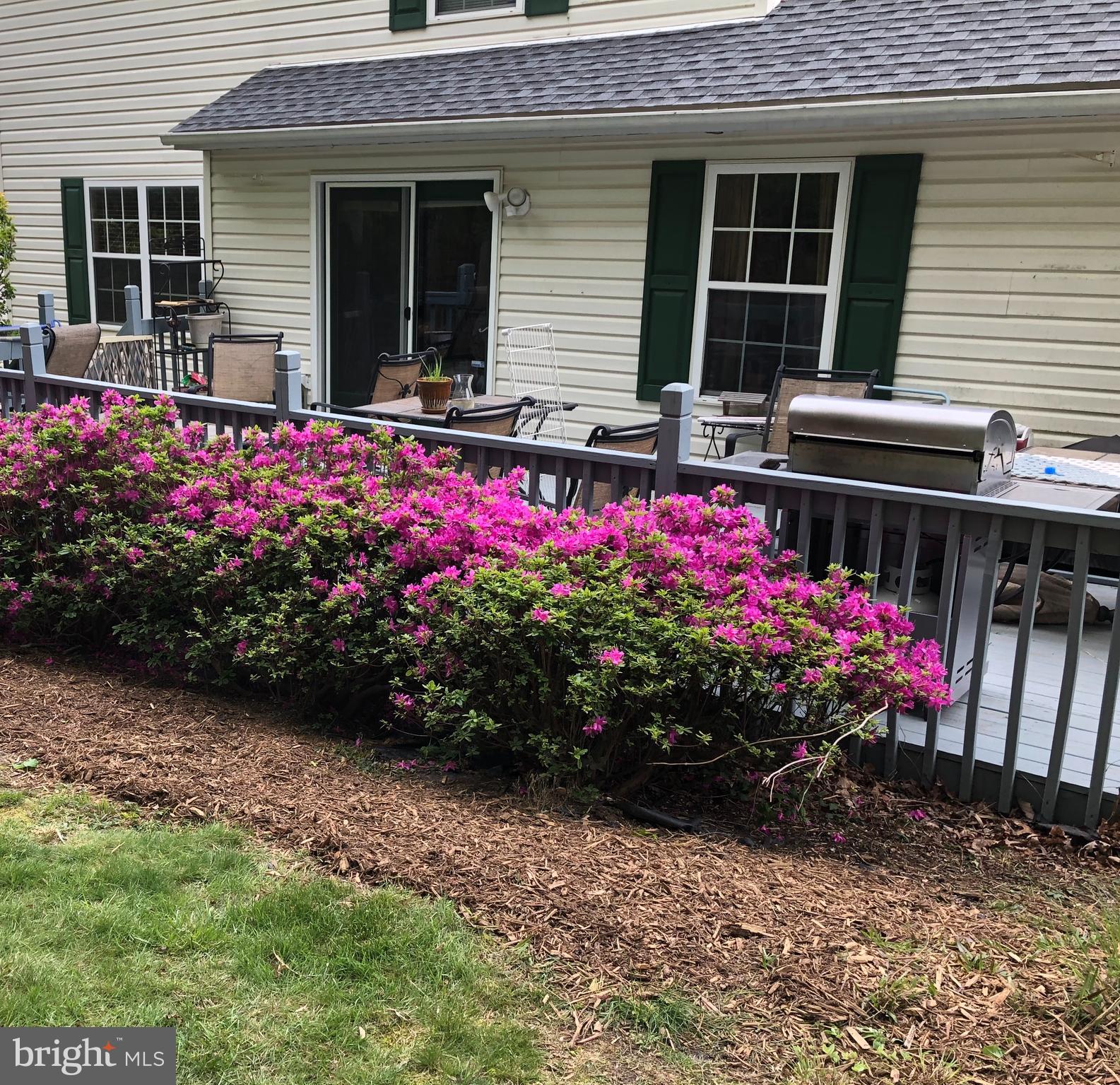 3123 Laurel View Drive Abingdon, MD 21009 - Photo 18 of 135 a view of a potted plant sitting in front of a house