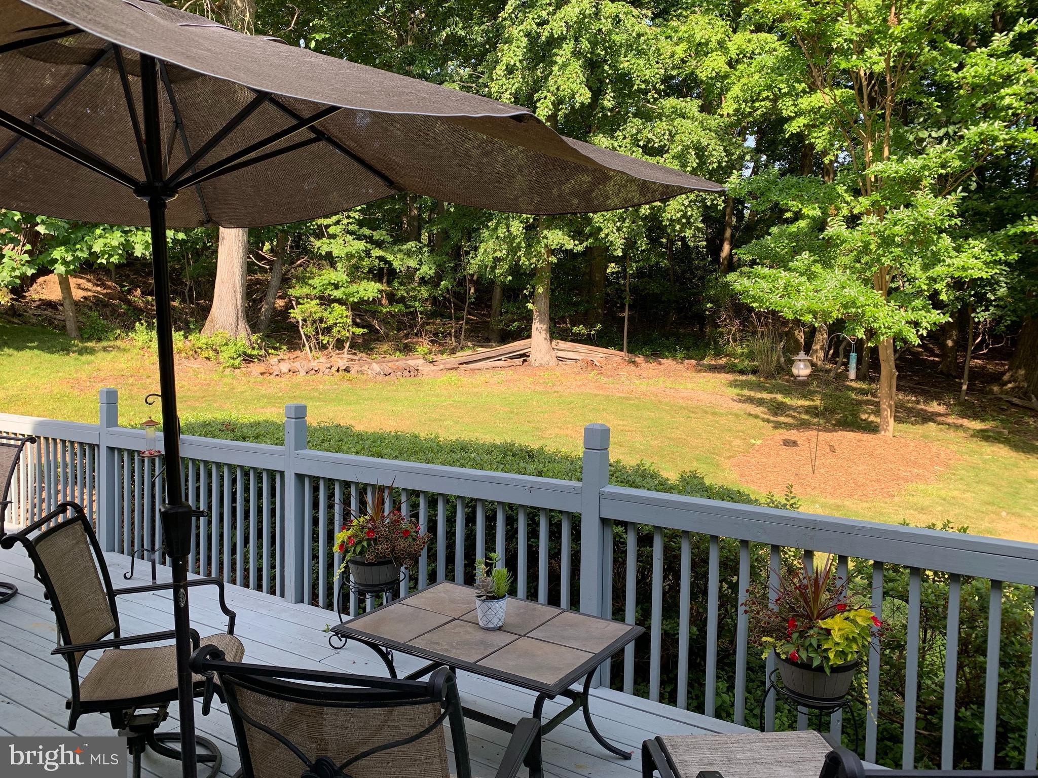 3123 Laurel View Drive Abingdon, MD 21009 - Photo 24 of 135