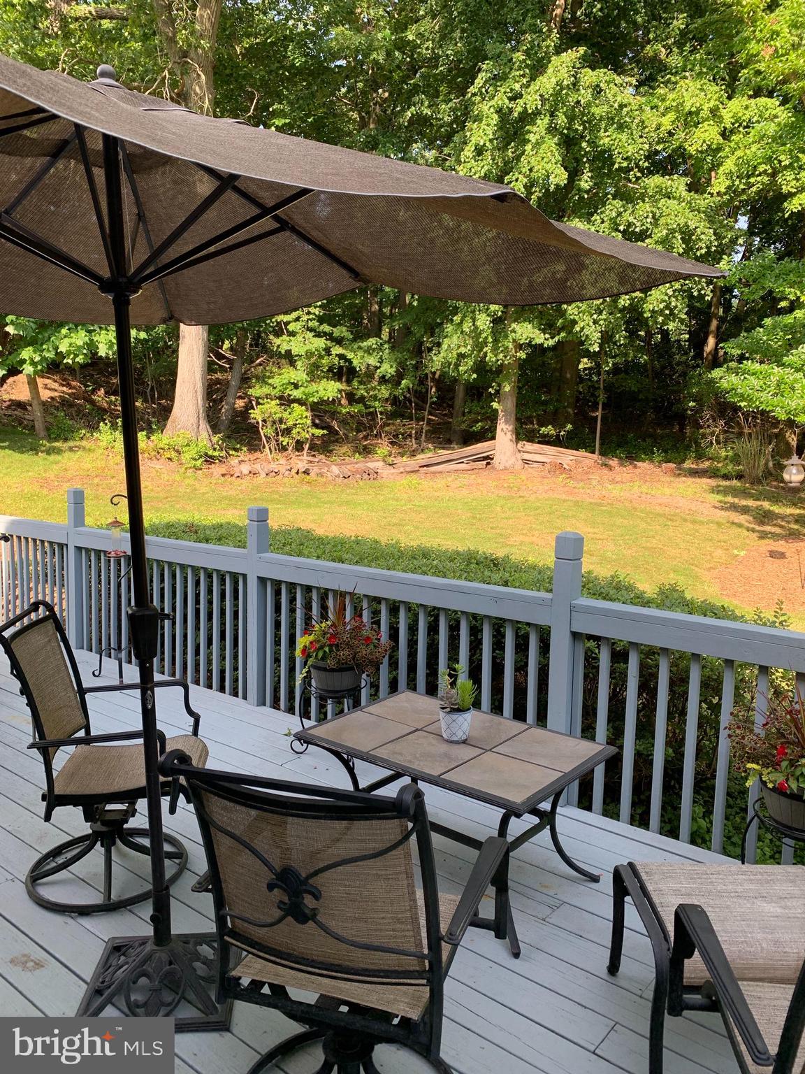 3123 Laurel View Drive Abingdon, MD 21009 - Photo 28 of 135