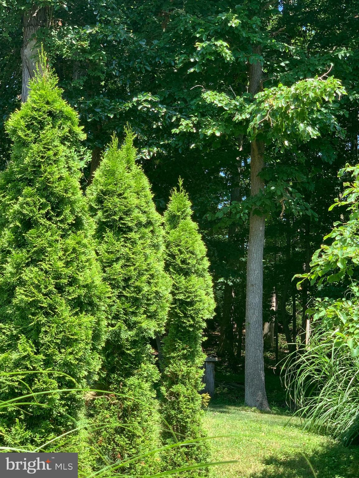 3123 Laurel View Drive Abingdon, MD 21009 - Photo 33 of 135 a backyard of a house with lots of green space