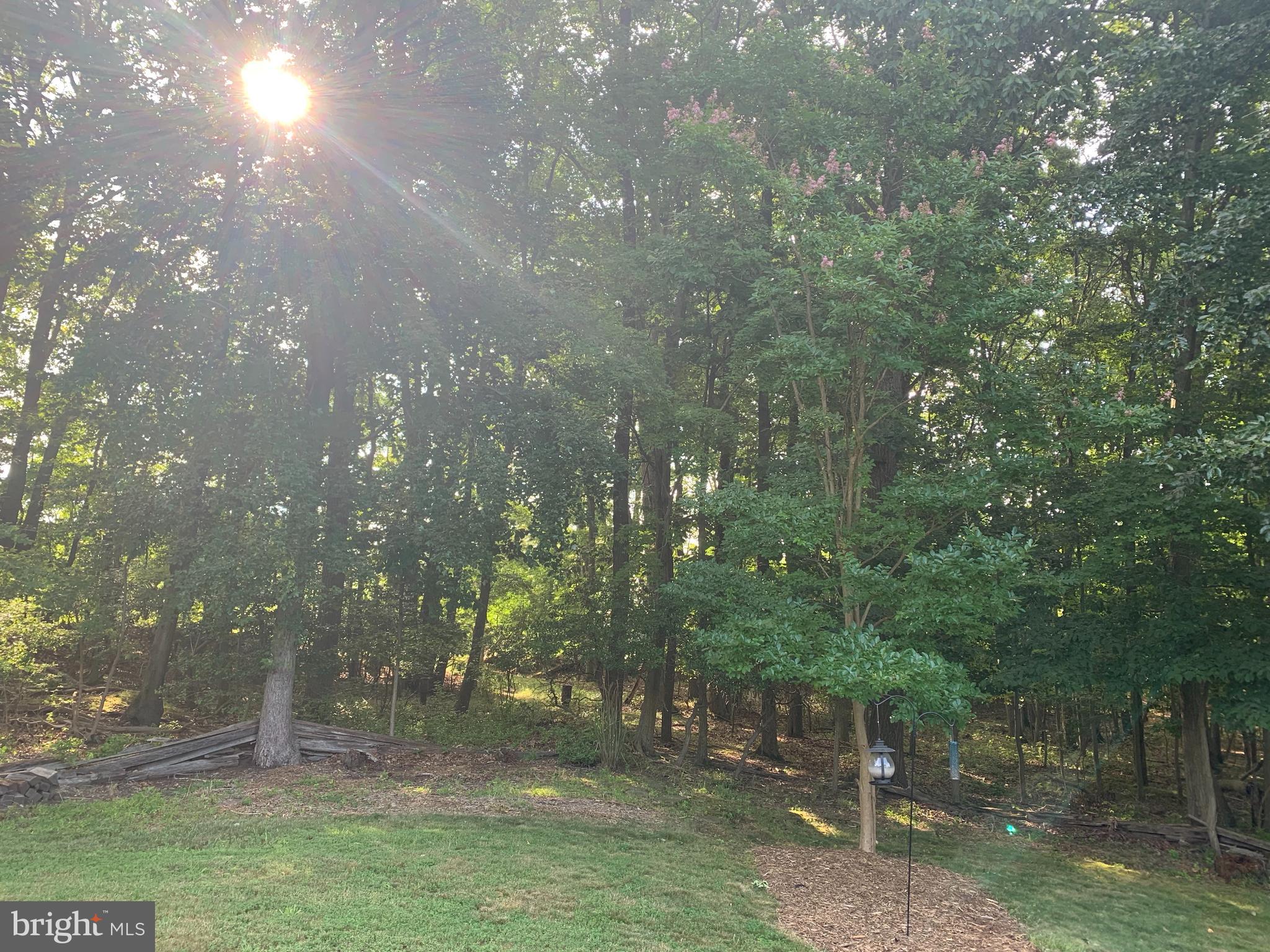 3123 Laurel View Drive Abingdon, MD 21009 - Photo 37 of 135