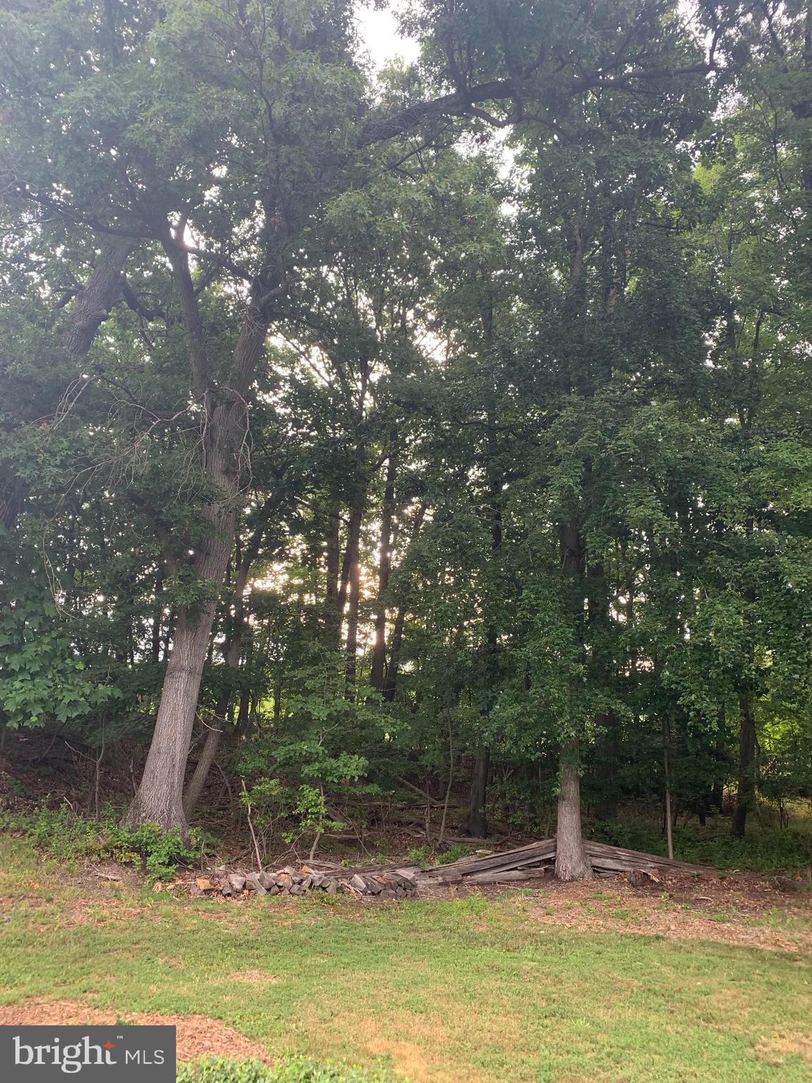 3123 Laurel View Drive Abingdon, MD 21009 - Photo 38 of 135