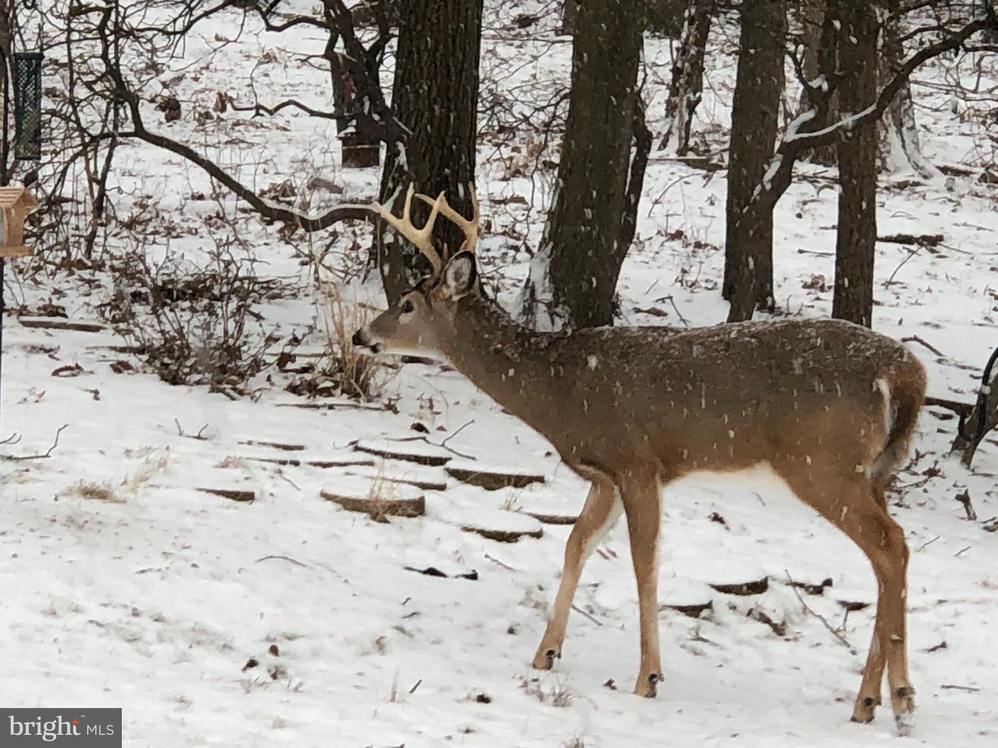3123 Laurel View Drive Abingdon, MD 21009 - Photo 43 of 135