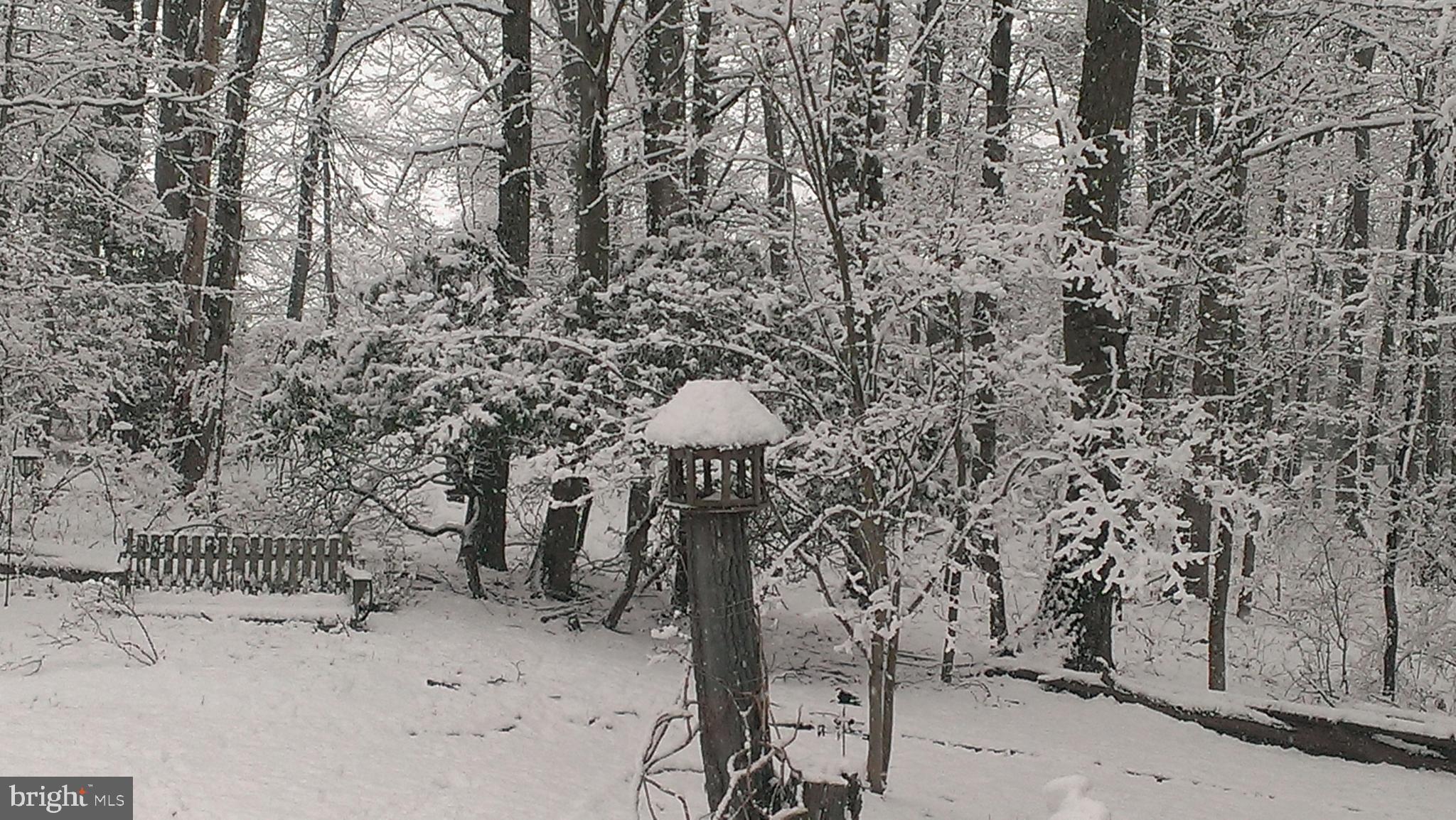 3123 Laurel View Drive Abingdon, MD 21009 - Photo 44 of 135