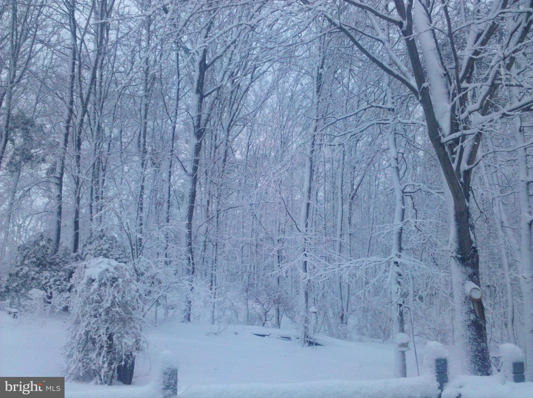 3123 Laurel View Drive Abingdon, MD 21009 - Photo 45 of 135