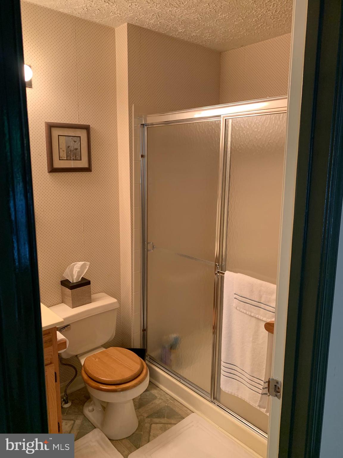 3123 Laurel View Drive Abingdon, MD 21009 - Photo 97 of 135 a bathroom with a toilet and a shower