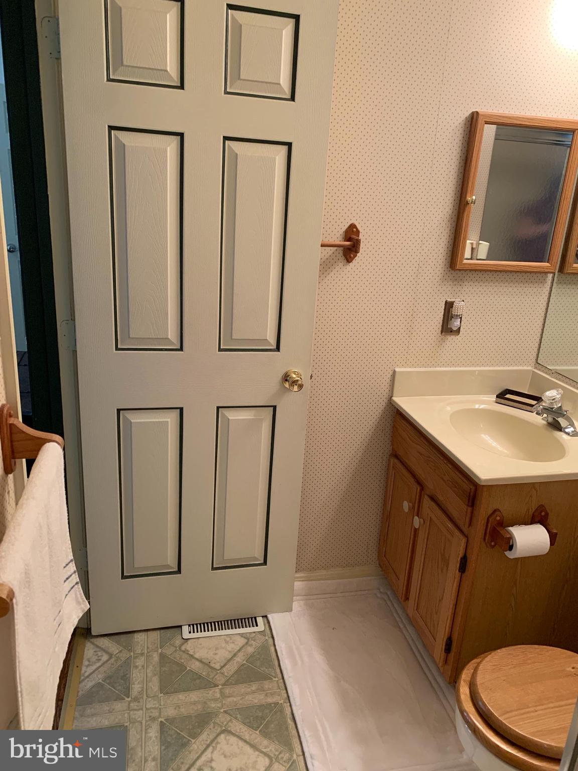 3123 Laurel View Drive Abingdon, MD 21009 - Photo 99 of 135 a bathroom with a sink and a mirror