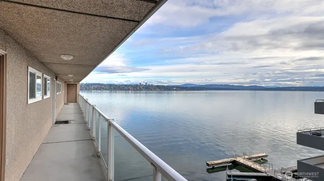 a view of a yard with a big yard