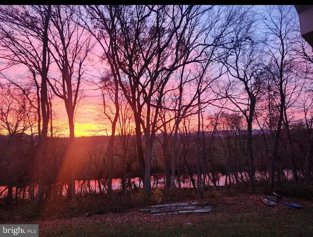 a view of a backyard with a large tree