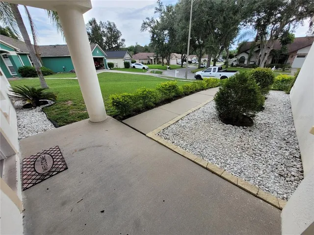 a view of a park with large trees