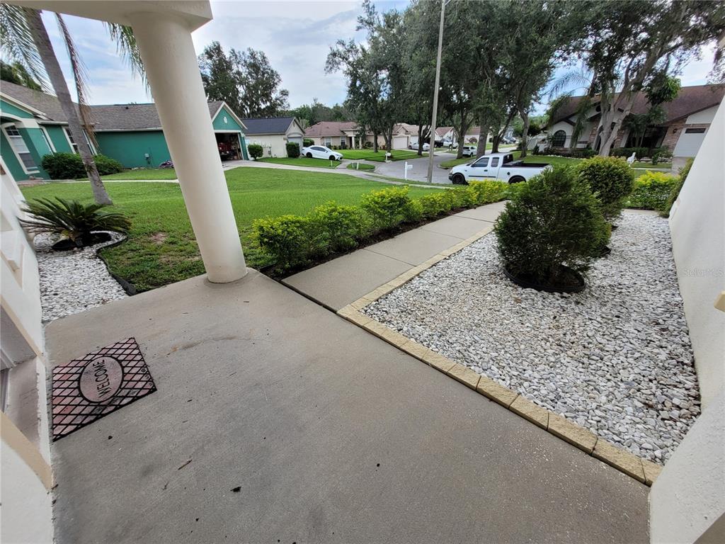 4233 Amber Ridge Lane Valrico, FL 33594 - Photo 6 of 40 a view of a park with large trees