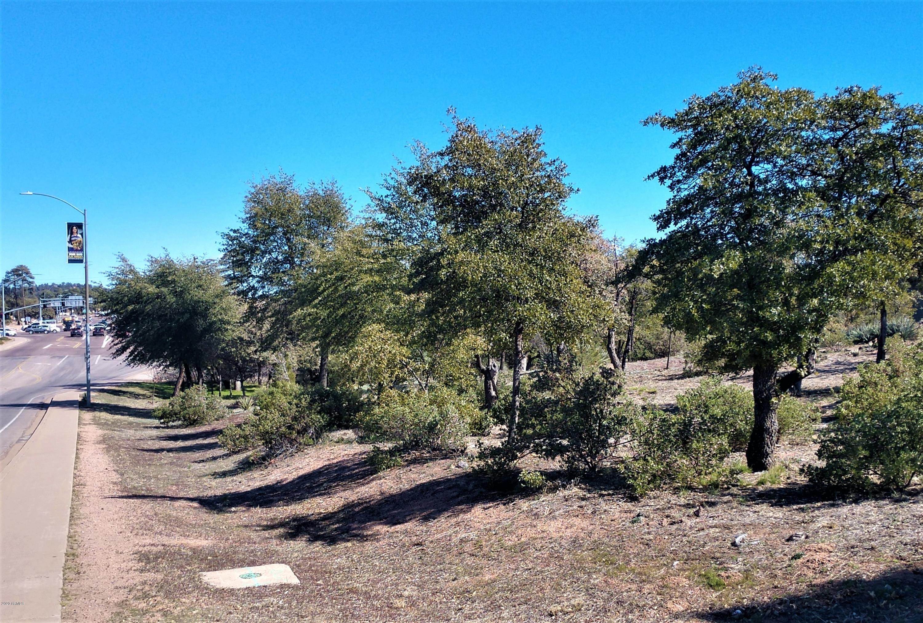 201 West Longhorn Road Payson, AZ 85541 - Photo 14 of 17 a view of a yard with plants and trees