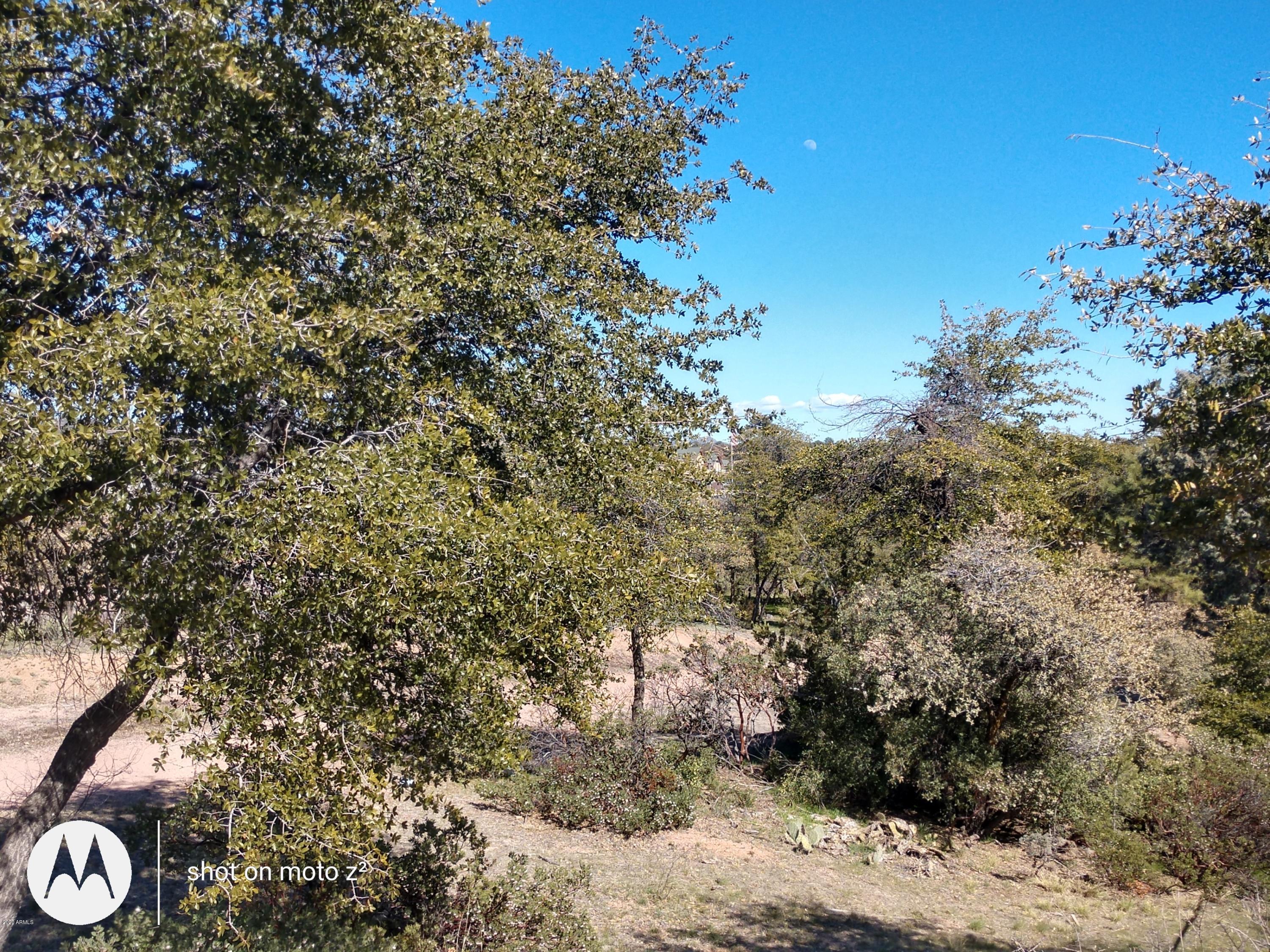 201 West Longhorn Road Payson, AZ 85541 - Photo 6 of 17 a view of a plants with trees in the background