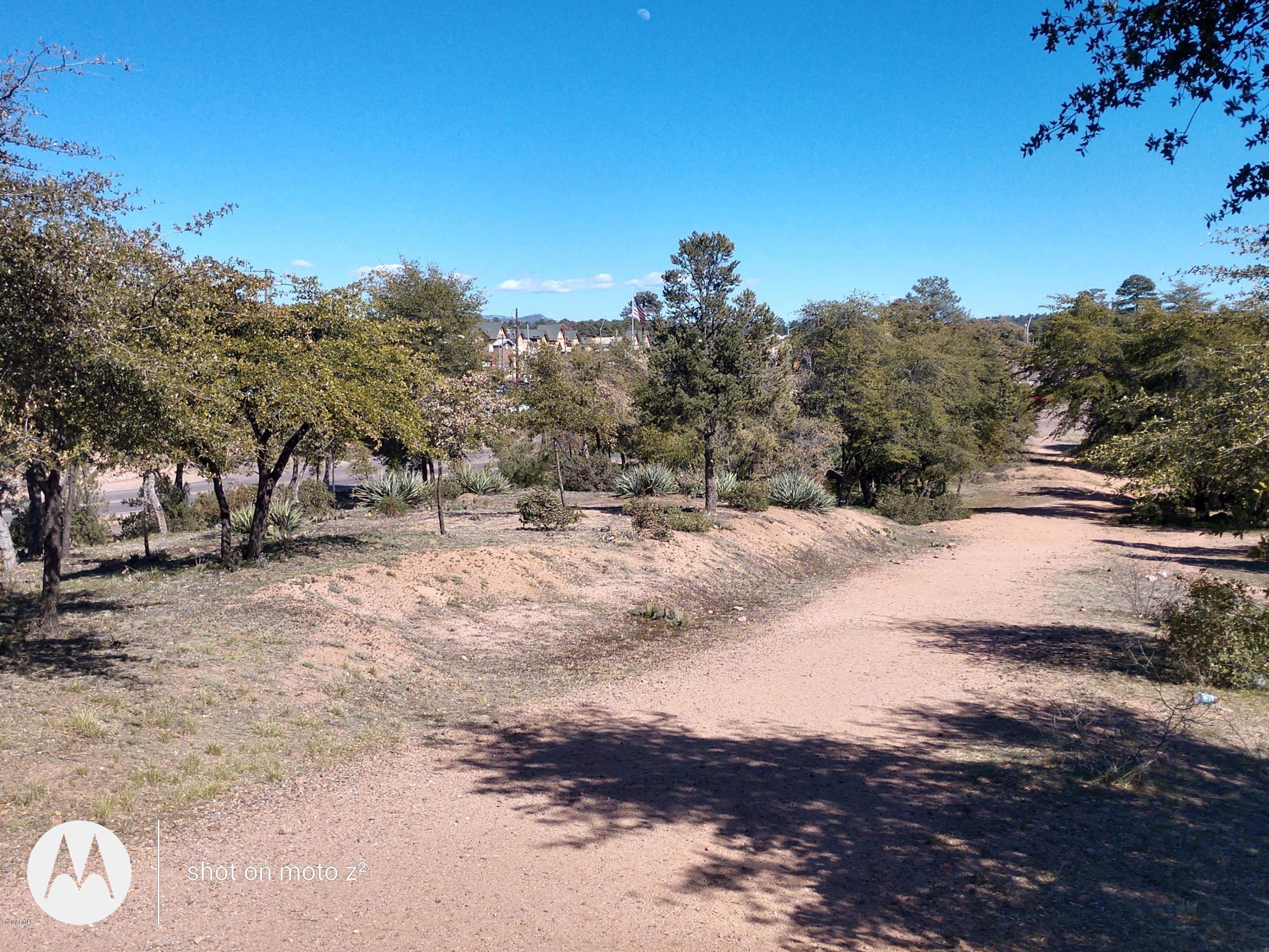 201 West Longhorn Road Payson, AZ 85541 - Photo 7 of 17 a view of a yard with mountain view
