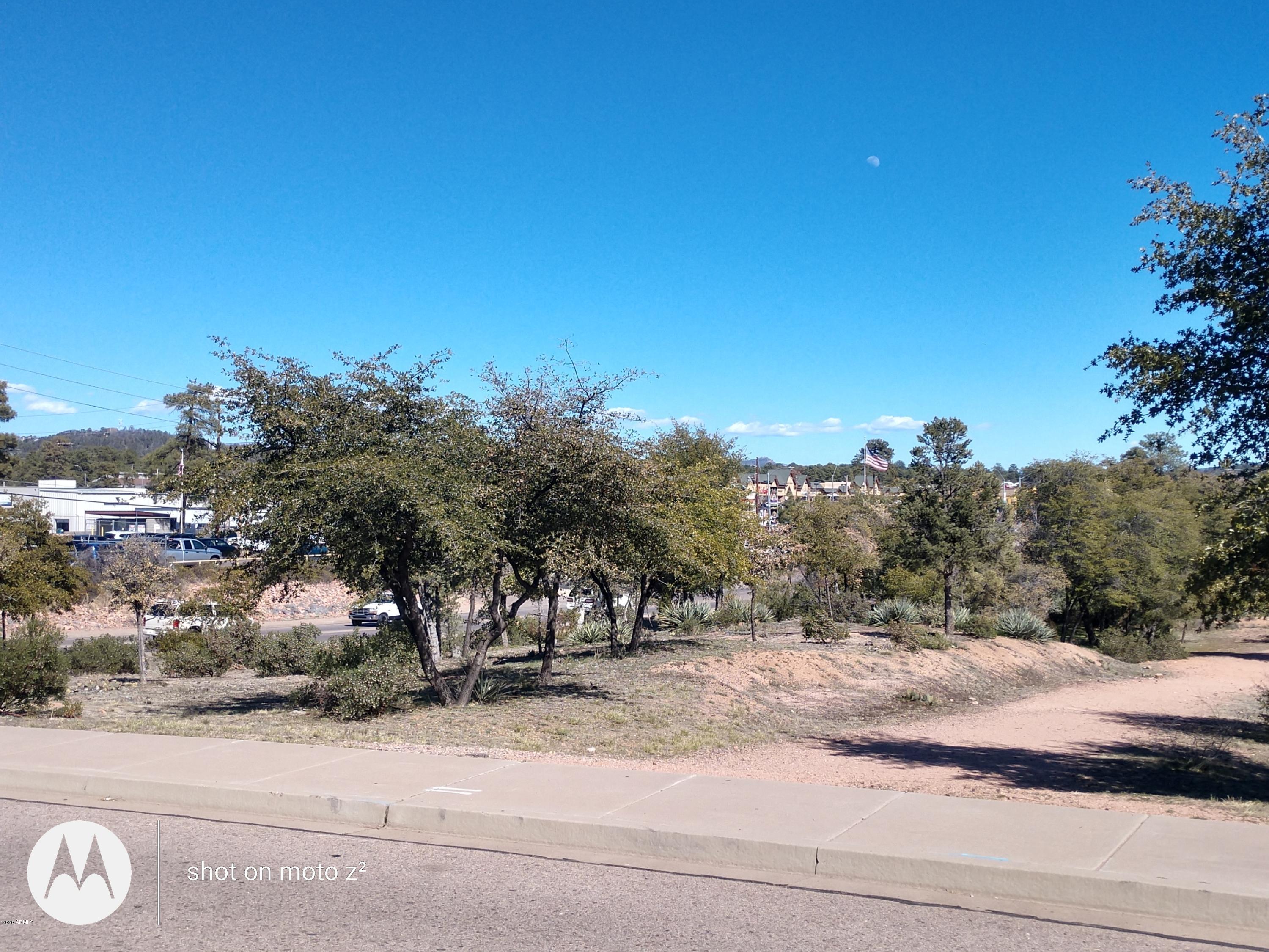 201 West Longhorn Road Payson, AZ 85541 - Photo 8 of 17 a view of a yard with a tree
