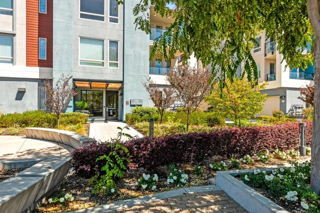 a view of a park with trees