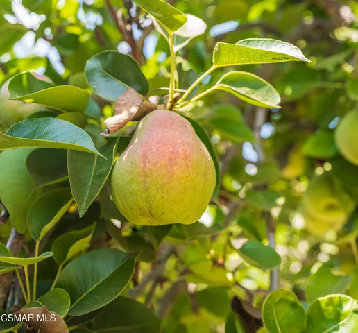a view of a car in garage