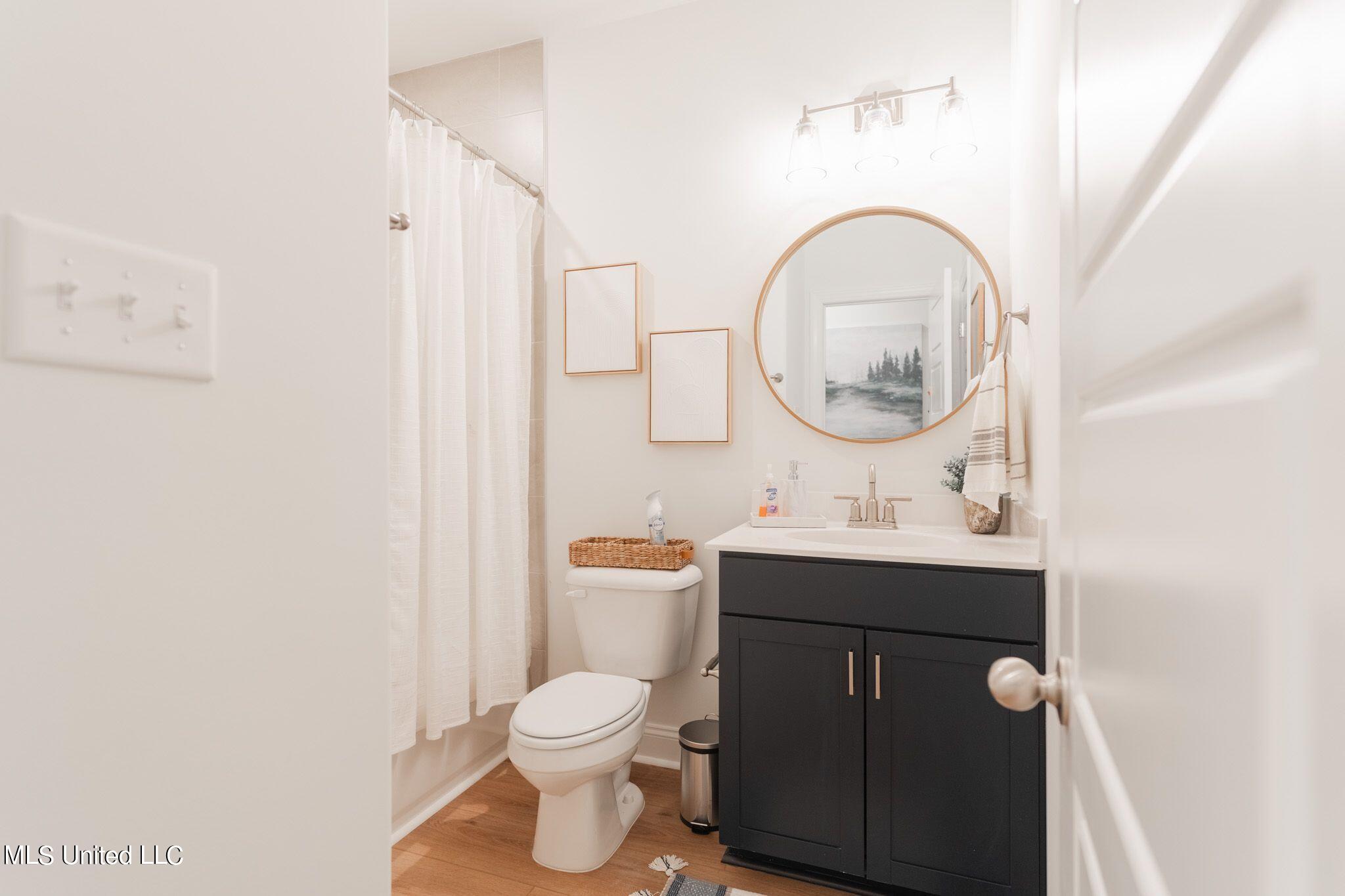 5290 Douglas Drive Olive Branch, MS 38654 - Photo 19 of 37 downstairs bath