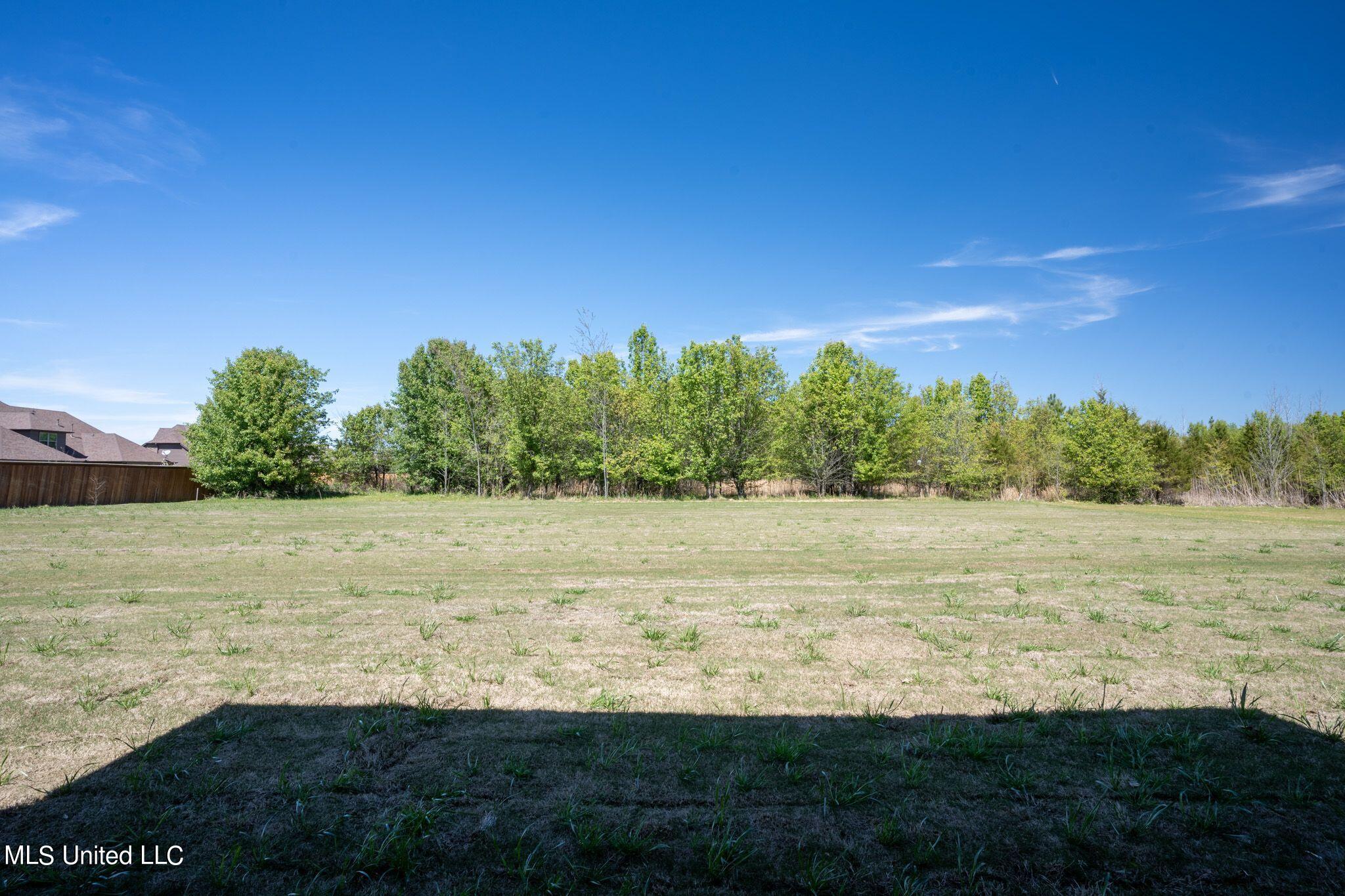 5290 Douglas Drive Olive Branch, MS 38654 - Photo 36 of 37 backyard