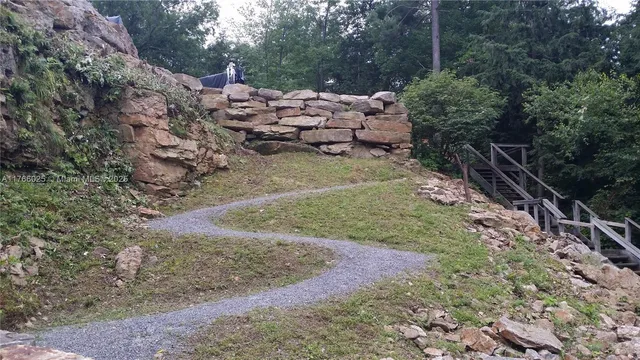 a view of a yard with plants and trees