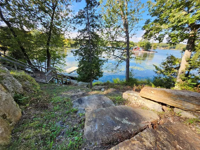 a view of a garden with trees