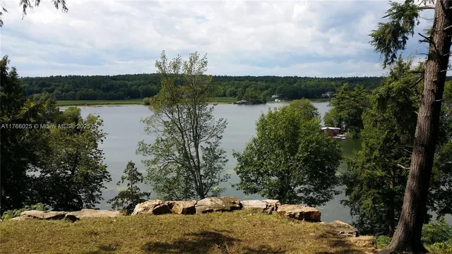 a view of a lake with houses