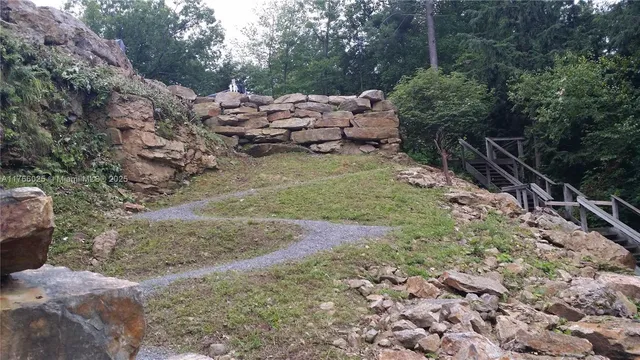 a view of a park with some trees