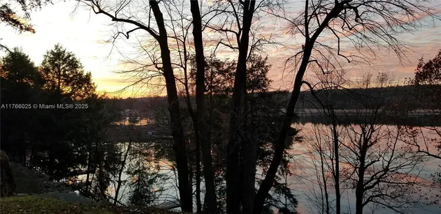a view of mountain with a tree in the background