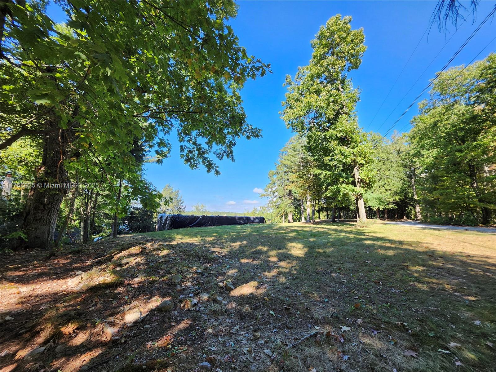 18435 Otter Point Road Wellesley Island, NY 13640 - Photo 21 of 27 a big yard with green space