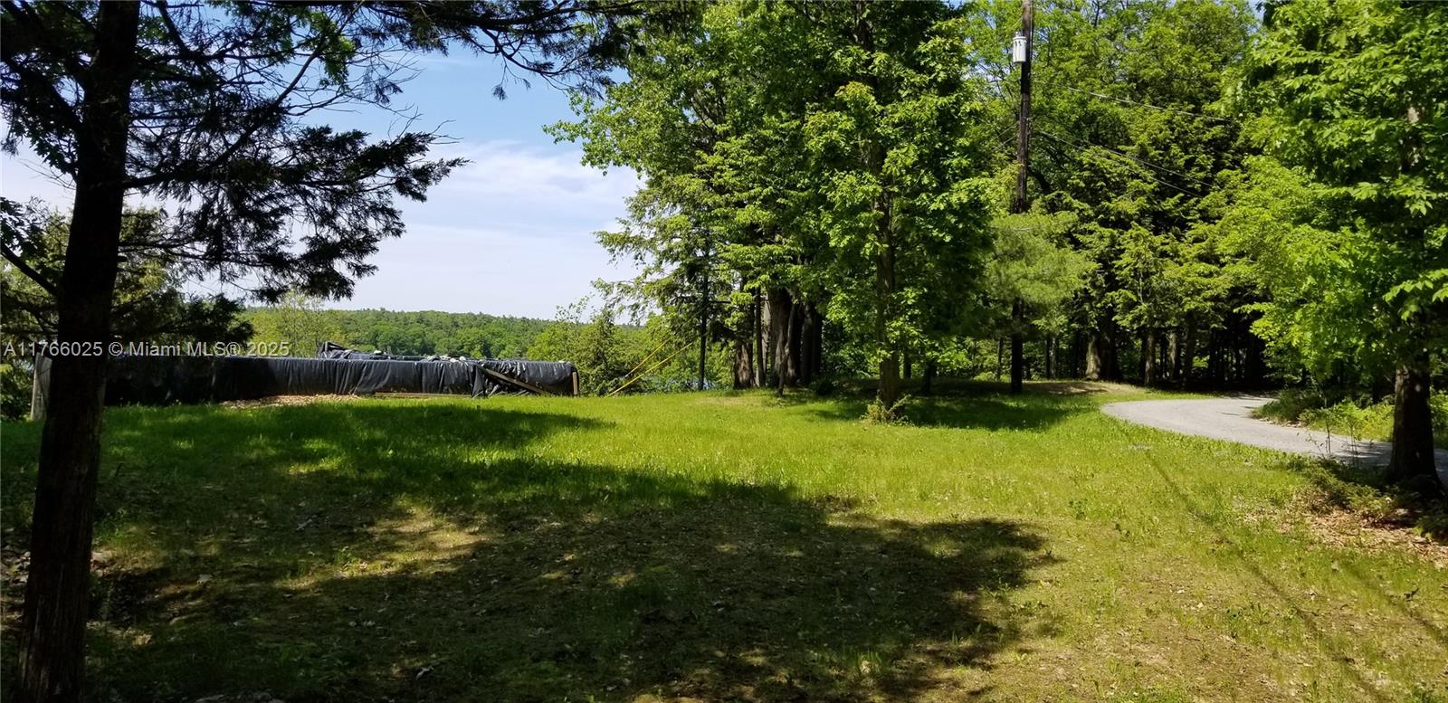 18435 Otter Point Road Wellesley Island, NY 13640 - Photo 22 of 27 a view of backyard with green space