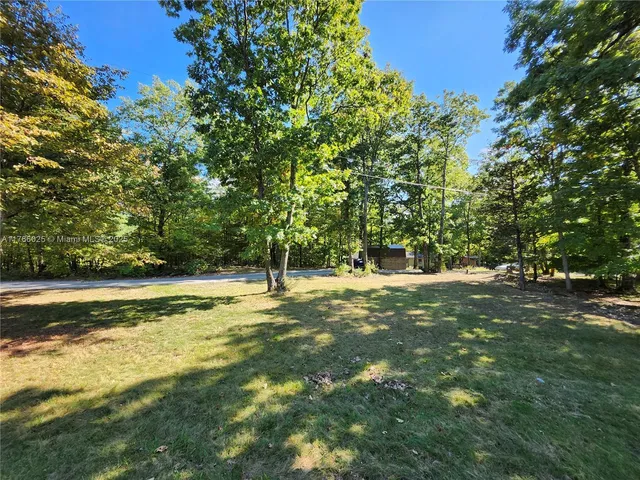a view of a trees with a yard