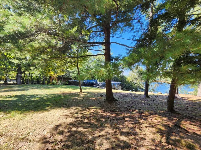 a view of a tree in a yard