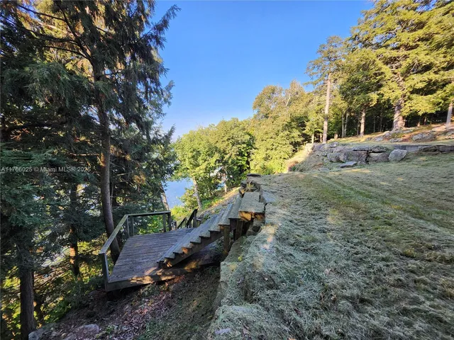 a view of a yard with plants and trees